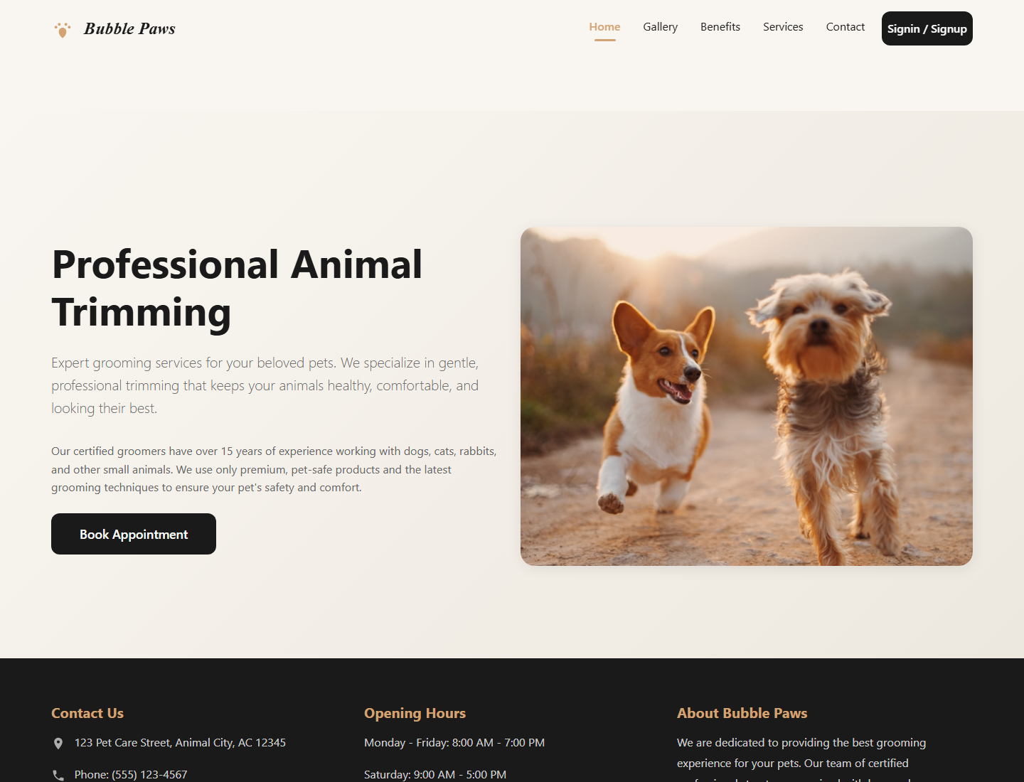 Bubble Paws responsive website case study by DROOM IT